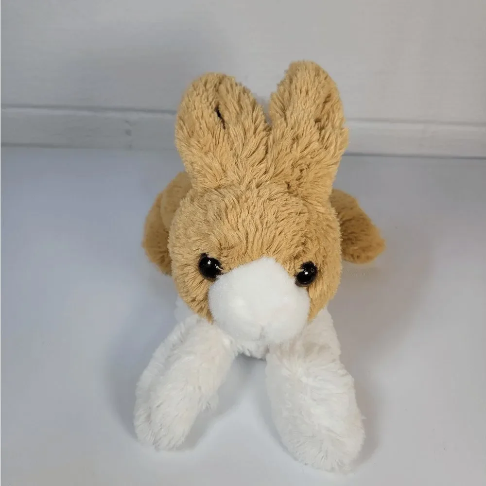 Aurora Miyoni tan dutch‎ Rabbit 12